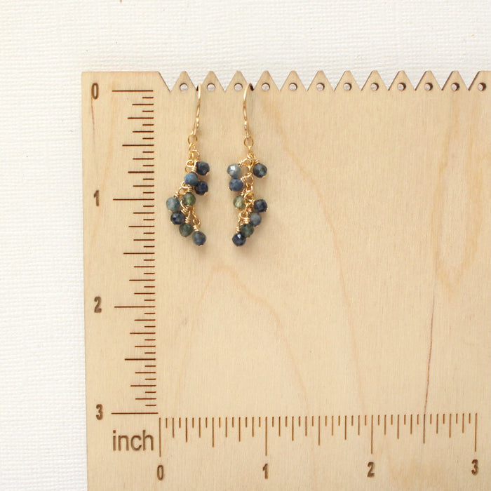 Sapphire Fringe Earrings