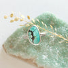 The southwest turquoise ring styled on a green crystal with dried grass