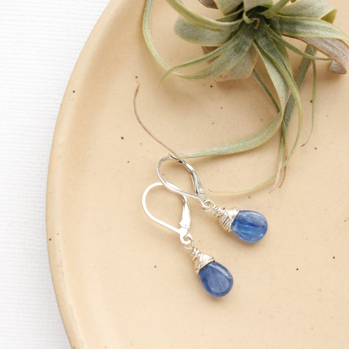 The little kyanite drop earrings styled on a tan plate with an air plant